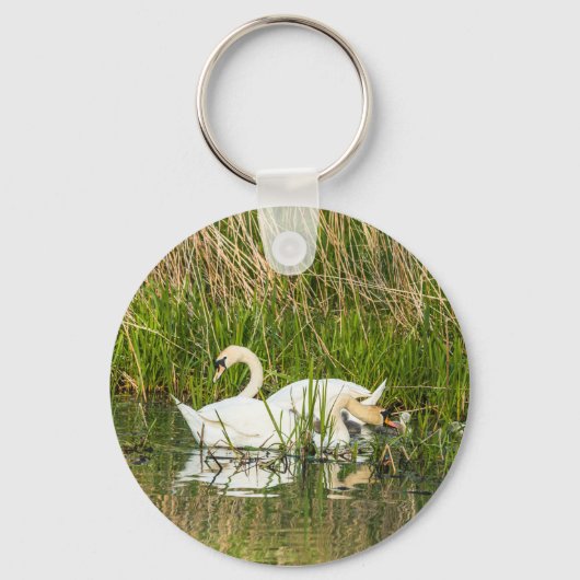 Porte-clés Cygnes et cygnets dans les lacs (Recto)