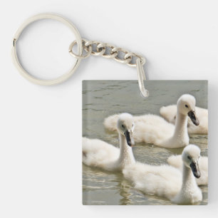 Porte-clés Cygnets de cygne nager