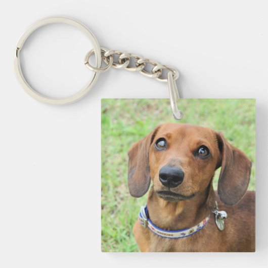 Porte-clés Dachshund (Devant)