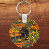 Porte-clés Dachshund (Verso)