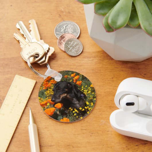 Porte-clés Dachshund (Bureau)