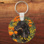 Porte-clés Dachshund (Recto)