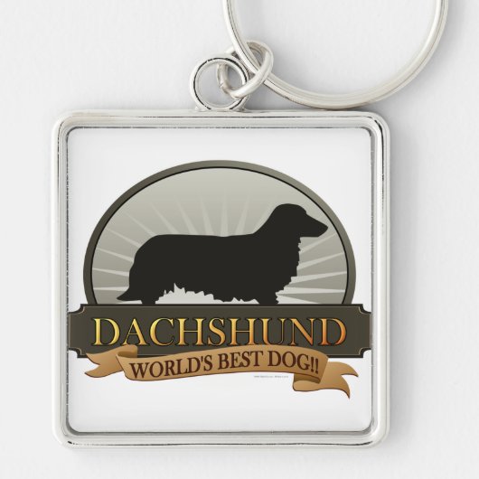 Porte-clés Dachshund [Cheveux longs] (Devant)