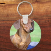 Porte-clés Dachshund lisse miniature (Recto)