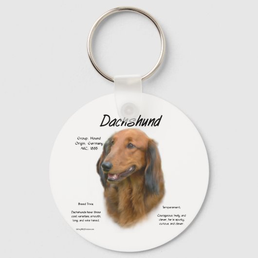 Porte-clés Dachshund (longhair) Conception de l'histoire (Recto)