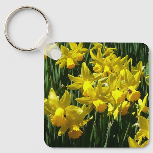 Porte-clés Daffodiles Jaunes I Fleurs De Printemps Cheveux (Recto)