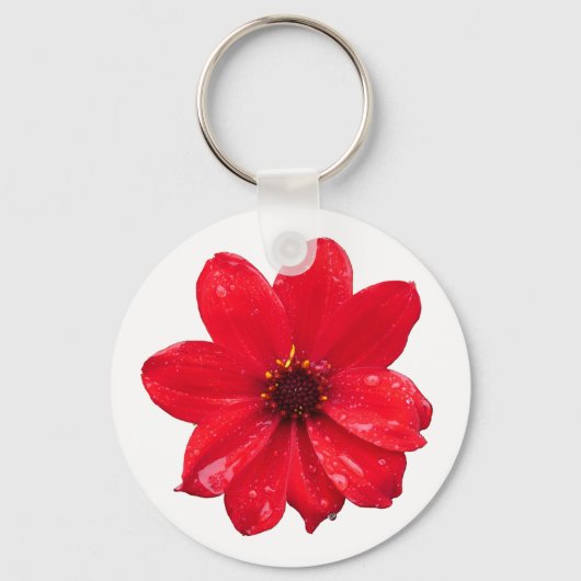Porte-clés Dahlia dans la pluie (Recto)