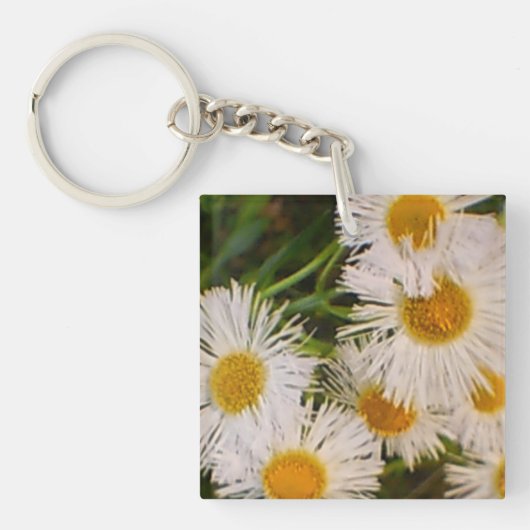 Porte-clés Daisy (Devant)