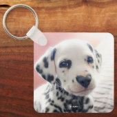 Porte-clés Dalmatian Heart Nose (Recto)