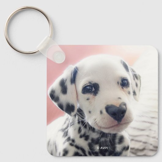 Porte-clés Dalmatien Nez de Coeur (Recto)