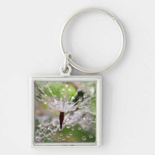 Porte-clés Dandelion Abstrait (Devant)