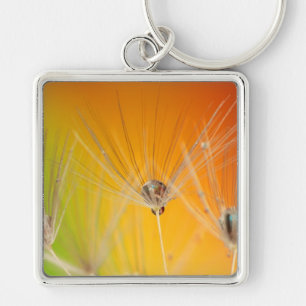 Porte-clés Dandelion Fleurs Destiny Peace Love Art