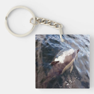 Porte-clés Dauphin Commun Faune Marine Océanique Nautique