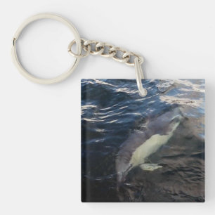 Porte-clés Dauphin Commun Nageant Océan Faune Marine Vie Mari