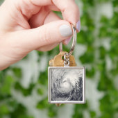 Porte-clés Dauphin du typhon dans la mer des Philippines (main)