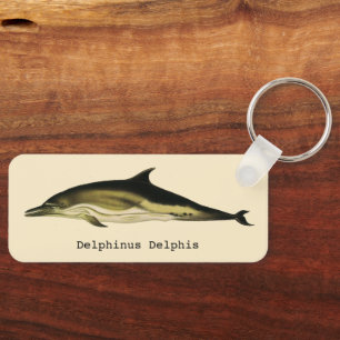 Porte-clés Dauphin vintage Delphinus Delphis, Mammifères mari