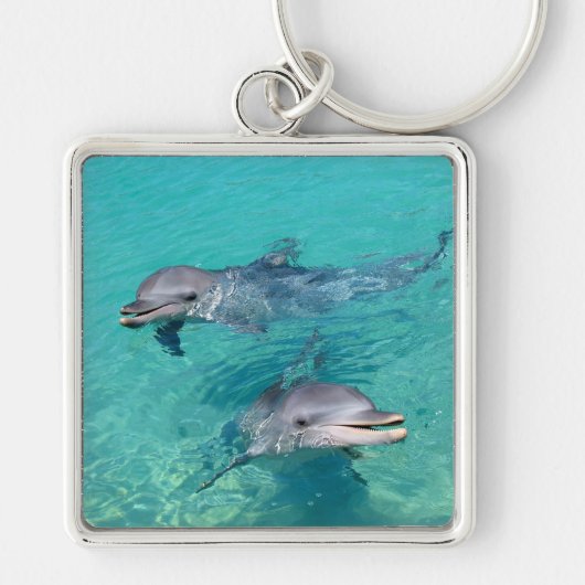 Porte-clés Dauphins (Devant)