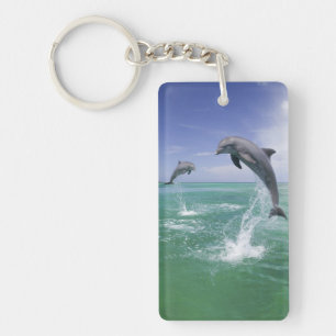 Porte-clés Dauphins à gros nez Tursiops truncatus