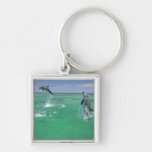 Porte-clés Dauphins à gros nez Tursiops truncatus