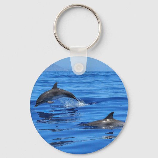 Porte-clés Dauphins En Eau Bleue (Recto)