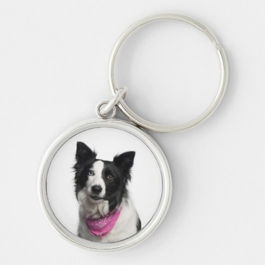 Porte-clés de border collie (Devant)