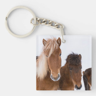 Porte-clés De mignons chevaux islandais ensemble