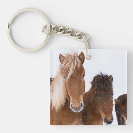 Porte-clés De mignons chevaux islandais ensemble (Devant)