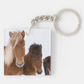 Porte-clés De mignons chevaux islandais ensemble (Dos)