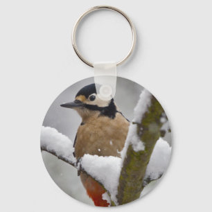 Porte-clés de pivert d'hiver