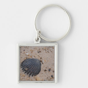 Porte-clés de Shell de feston