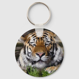Porte-clés de tigre de Zambar