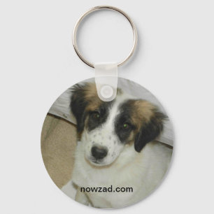 Porte-clés de transitoire de délivrance de Nowzad