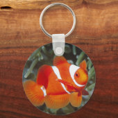 Porte-clés découverte de nemo (Recto)