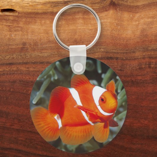 Porte-clés découverte de nemo (Recto)