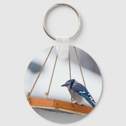 Porte-clés Déjeuner Blue Jay (Recto)