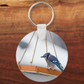 Porte-clés Déjeuner Blue Jay (Recto)
