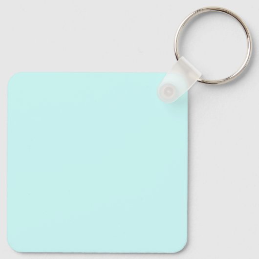 Porte-clés Delaware (Dos)