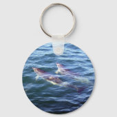Porte-clés Delphinus delphis (Recto)