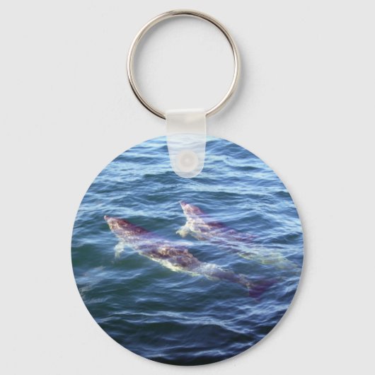 Porte-clés Delphinus delphis (Recto)