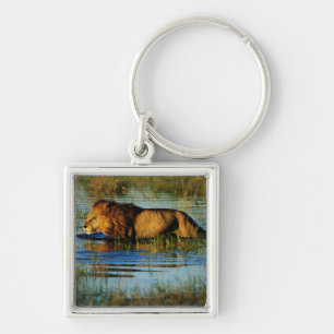 Porte-clés Delta d'Okavango, Botswana 3