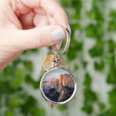 Porte-clés Demi-Dôme, Parc national de Yosemite, Californie (main)