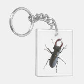 Porte-clés Dendroctone du pin (Devant gauche)