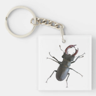 Porte-clés Dendroctone du pin