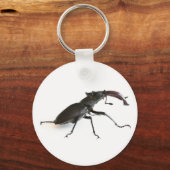 Porte-clés Dendroctone du pin (Recto)