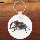 Porte-clés Dendroctone du pin (Recto)