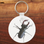 Porte-clés Dendroctone du pin (Recto)