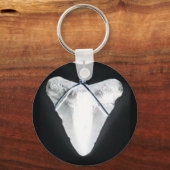 Porte-clés Dent de requin (Recto)