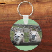 Porte-clés Des ânes souriants ! (Recto)