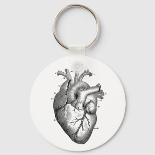 Porte-clés Dessin anatomique vintage Coeur humain