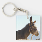 Porte-clés Destinée d'animal de ferme de mulet d'âne (Devant)